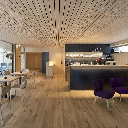 塔纳豪夫酒店 3* Au (Bregenz)