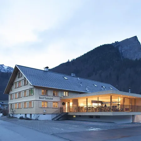 塔纳豪夫酒店 酒店 3*