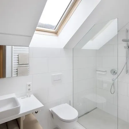 塔纳豪夫酒店 酒店 3*